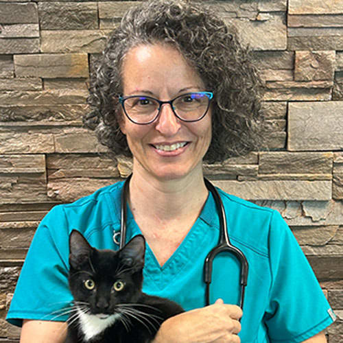 Dr. Kristi Ellis, Tigard Veterinarian